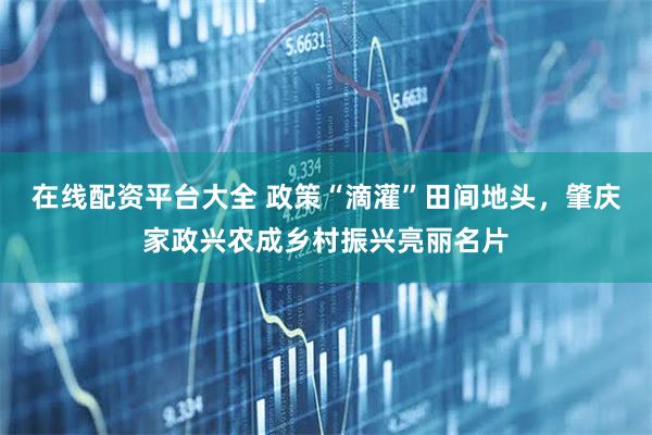 在线配资平台大全 政策“滴灌”田间地头，肇庆家政兴农成乡村振兴亮丽名片