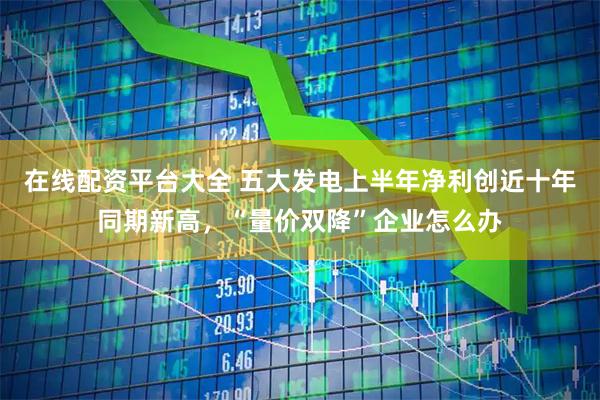 在线配资平台大全 五大发电上半年净利创近十年同期新高，“量价双降”企业怎么办