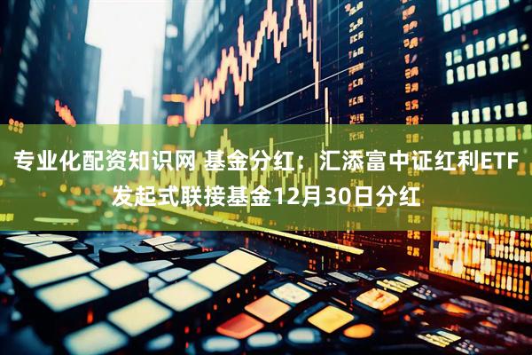 专业化配资知识网 基金分红：汇添富中证红利ETF发起式联接基金12月30日分红